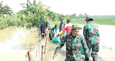 Koramil Modo Turun Tangan Lakukan Penanggulangan Tanggul Jebol