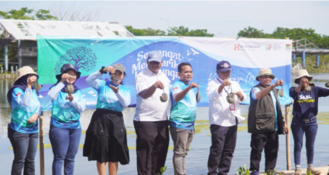 Sinar Mas Land Gelar Aksi Penanaman 5.500 Mangrove dan Pelepasan 100 Ekor Belangkas Tapal Kuda