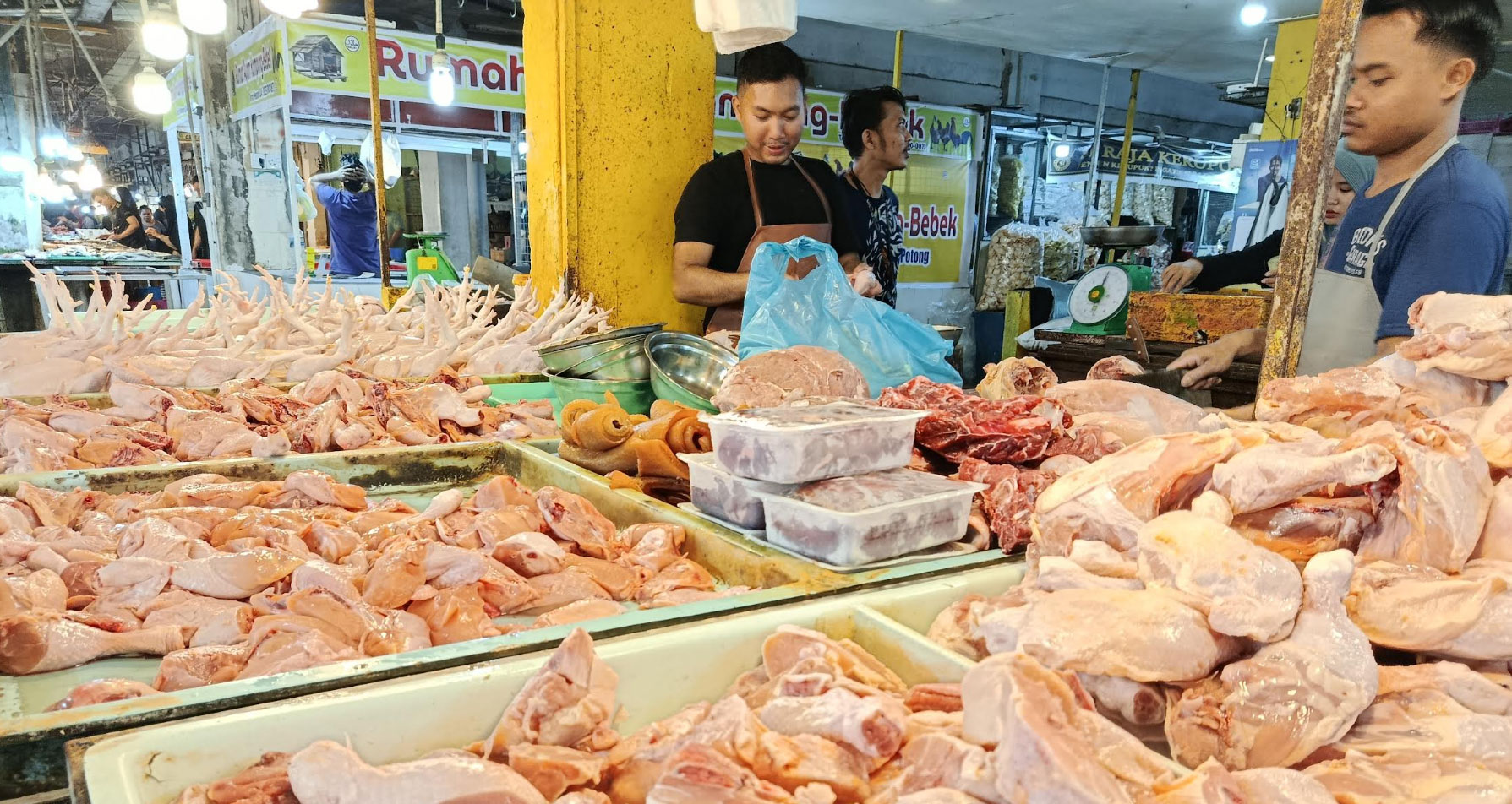 Pasokan Bibit dan Pakan Tersendat, Harga Ayam di Batam Terus Naik Jelang Nataru