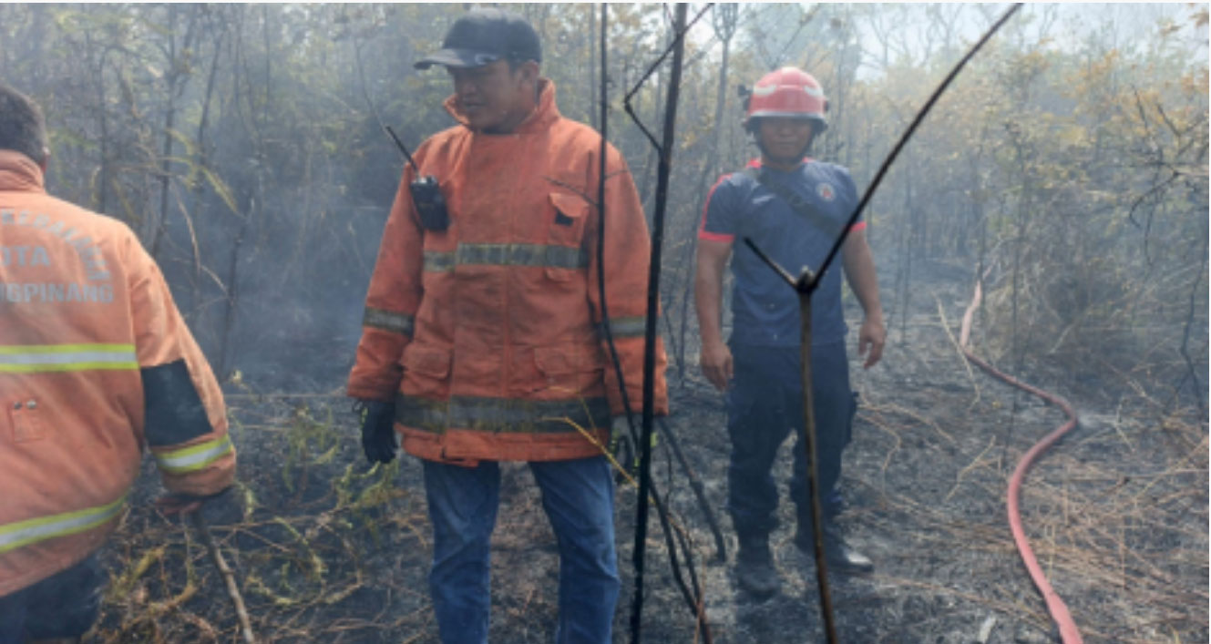 Damkar Gerak Cepat Padamkan Kebakaran Lahan Kosong di Senggarang