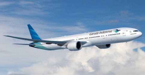 Garuda Danantara