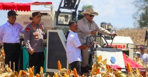 Transaksi Jagung