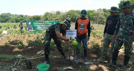 Kodim Lamongan dan Perhutani Lakukan Penghijauan