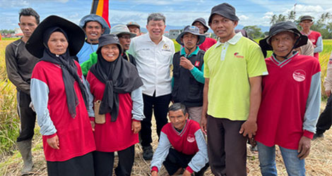 Komisi IV DPR RI Tinjau Program Sawah Pokok Murah di Sumbar, Potensial Dukung Ketahanan Pangan Nasional