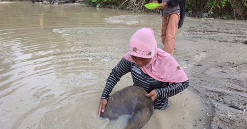Kisah Nenek Hatijah, Mengais Rejeki dari Mendulang Timah