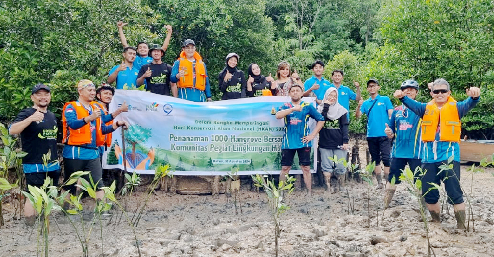 Jaga Kelestarian Lingkungan, PLN Batam Tanam 1.000 Pohon Mangrove di Pantai Nongsa