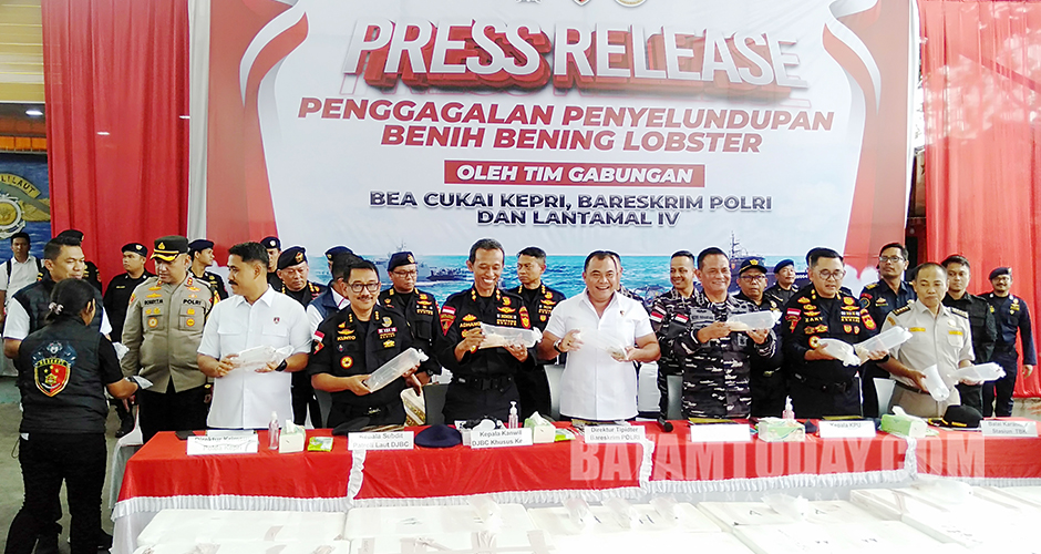 Bea Cukai Kepri, Bareskrim Polri dan Lantamal IV Berhasil Gagalkan Upaya Penyelundupan Baby Lobster Senilai Rp 23,8 Miliar