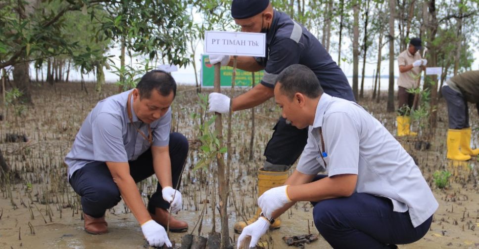 Jaga Ekosistem dan Abrasi, PT Timah Tbk Tanam Belasan Ribu Mangrove di Pesisir Pantai Kundur