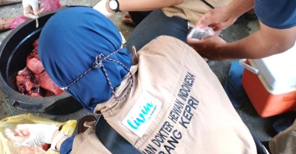 Pastikan Bebas Penyakit dan Layak Konsumsi, Dinas Pangan dan Pertanian Pantau Tempat Pemotongan Hewan Kurban