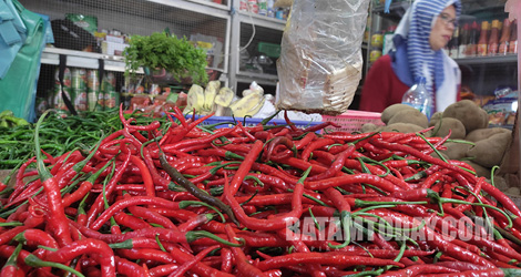 Pasokan Melimpah, Harga Cabai Merah dan Daging Ayam di Tanjungpinang Turun
