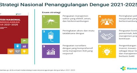 Waspada DBD di Musim Hujan, Kemenkes Dorong Gerakan Pencegahan Komprehensif