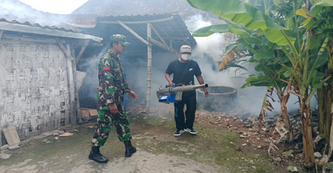 Cegah DBD, Babinsa dan Nakes Gelar Fogging di Desa Banyubang Lamongan