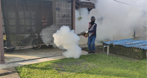 Antisipasi DBD, PT Timah Lakukan Fogging di Lingkungan Perusahaan