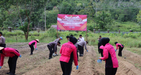 Polres Lingga Dukung Program Ketahanan Pangan Melalui Penanaman Jagung di Lahan P2L