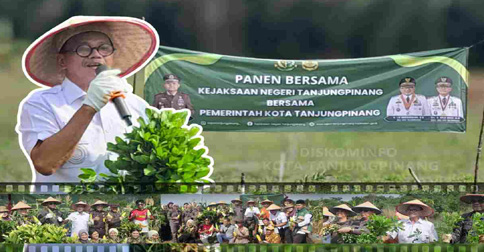 Wawako Tanjungpinang Hadiri Panen Bersama Program Pendampingan Proyek Strategis Pertanian