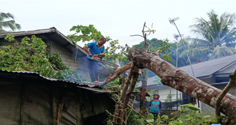 Dihantam Angin Kencang, Satu Rumah di Desa Lancang Kuning Tertimpa Pohon