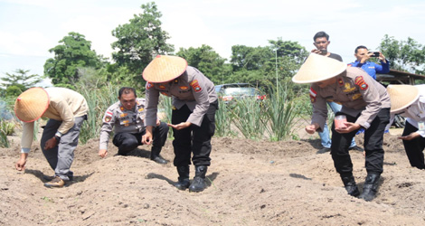 Dukung Program Swasembada Pangan, Polres Karimun Tanam Jagung di Parit Rampak Meral