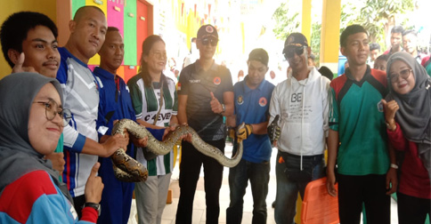 Ular Sanca Sepanjang Dua Meter Lebih Muncul di SMPN 2 Karimun
