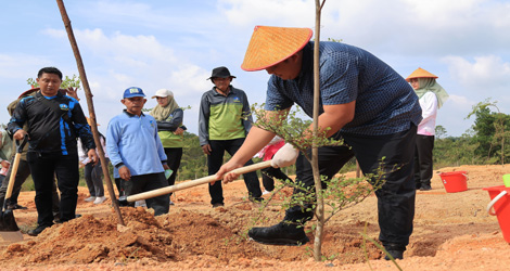 Upaya Rehabilitasi Lahan, Bupati Bintan Tanam Pohon Ketapang Kencana di Kawasan Embung DAS Kawal