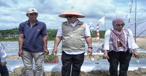 Hadiri Penanaman Cabai Perdana di Galang Baru, Wagub Nyanyang: Pemprov Kepri Dorong Kemandirian Pangan