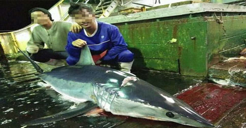 3 Warga Natuna Jadi Korban Perbudakan di Kapal Ikan China Longxing 629