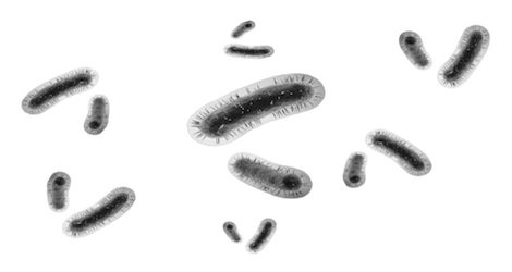 Waspada! Bakteri Kebal Antibiotik Meningkat