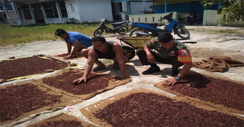 Petani Cengkeh di Kabupaten Natuna Keluhkan Harga Anjlok