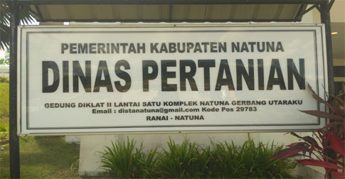 Ada Aroma Korupsi, Kadis Pertanian Natuna Diduga Pangkas Uang Kegiatan