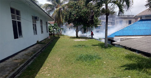 Februari-Juni 2019, Terdapat 27 Kasus Demam Berdarah di Natuna