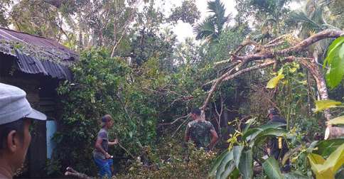 Diterjang Angin Puting Beliung, 5 Hektar Kebun Warga di Natuna Porak-poranda