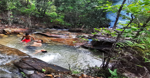 Menjelajahi Hutan Gunung Lengkuas, Keindahan Alam yang Terlupakan