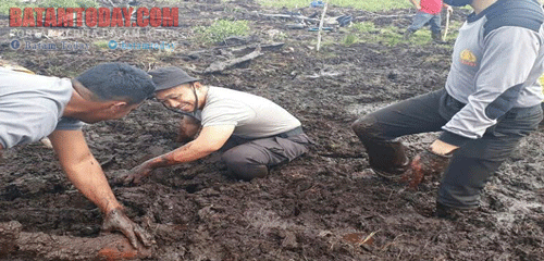 Isi Waktu Senggang Kapolres Lingga Tak Segan Berlumur Lumpur di Sawah