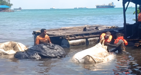 Limbah Hitam Cemari Pantai Dangas, Nelayan Sekupang Terpaksa Berhenti Melaut, Siapa Bertanggung Jawab?