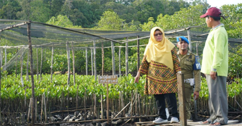 Wabup Natuna Apresiasi Desa Mekar Jaya untuk Lestarikan Hutan Mangrove