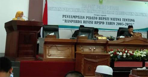 Wabup Natuna Sampaikan 5 Alasan untuk Revisi RPJPD 2005-2025 ke DPRD