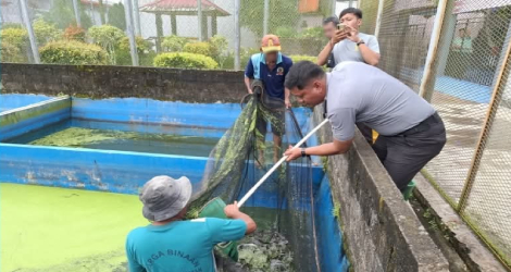 Panen Lele di Lapas Narkotika Tanjungpinang, Bekal Kemandirian Warga Binaan Menuju Reintegrasi