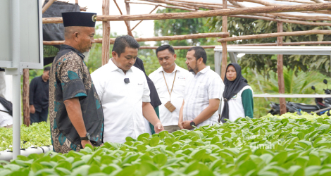 PT Timah Dukung Kelompok Lanjut Bestari Kembangkan Hidroponik di Karimun