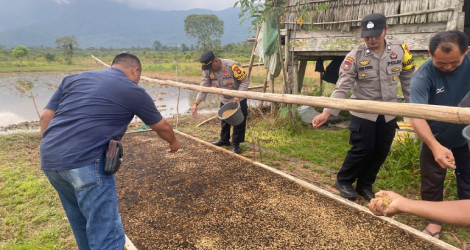 Polres Lingga Dukung Ketahanan Pangan Lewat Penyemaian Bibit Padi Impari 32