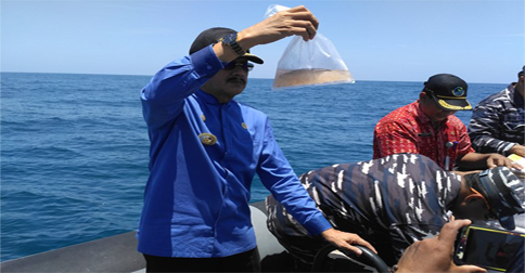 Baby Lobster Senilai Rp 46 Miliar Dilepaskan di Perairan Senoa-Natuna
