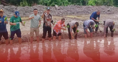 Sinergi TNI-Polri dan Pemerintah Dukung Ketahanan Pangan di Kepulauan Anambas