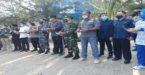 Peringati HUT Pomal ke-75, Lanal Tarempa Lepasliarkan Anak Penyu