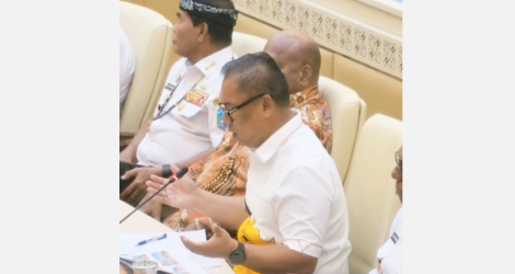 RDP dengan Komisi II DPR RI, Wagub Kepri Paparkan Tantangan Wilayah Perbatasan dan Pulau Terluar
